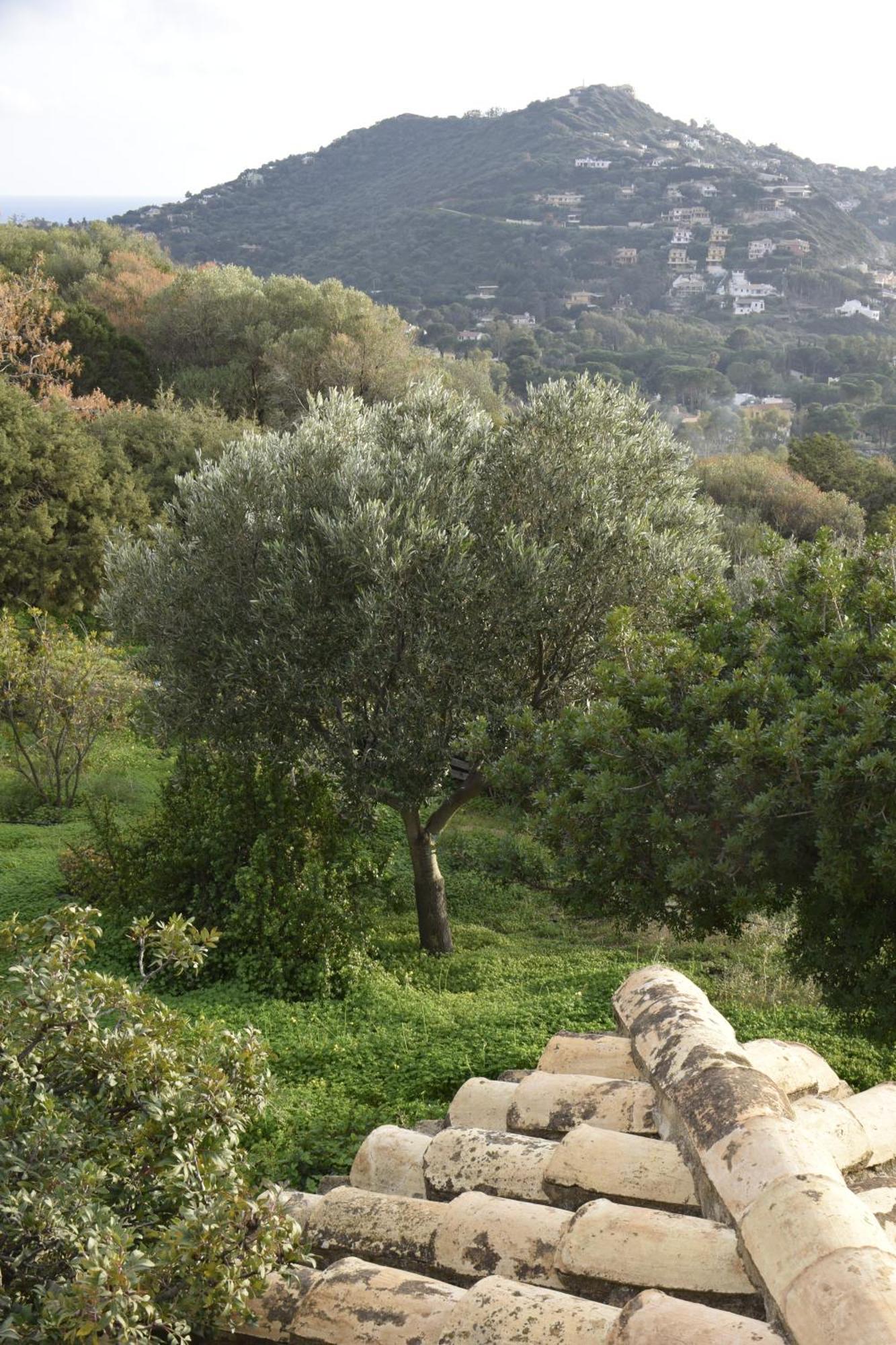 Marongiu Holiday Home Riccio Di Mare Sardinia מראה חיצוני תמונה